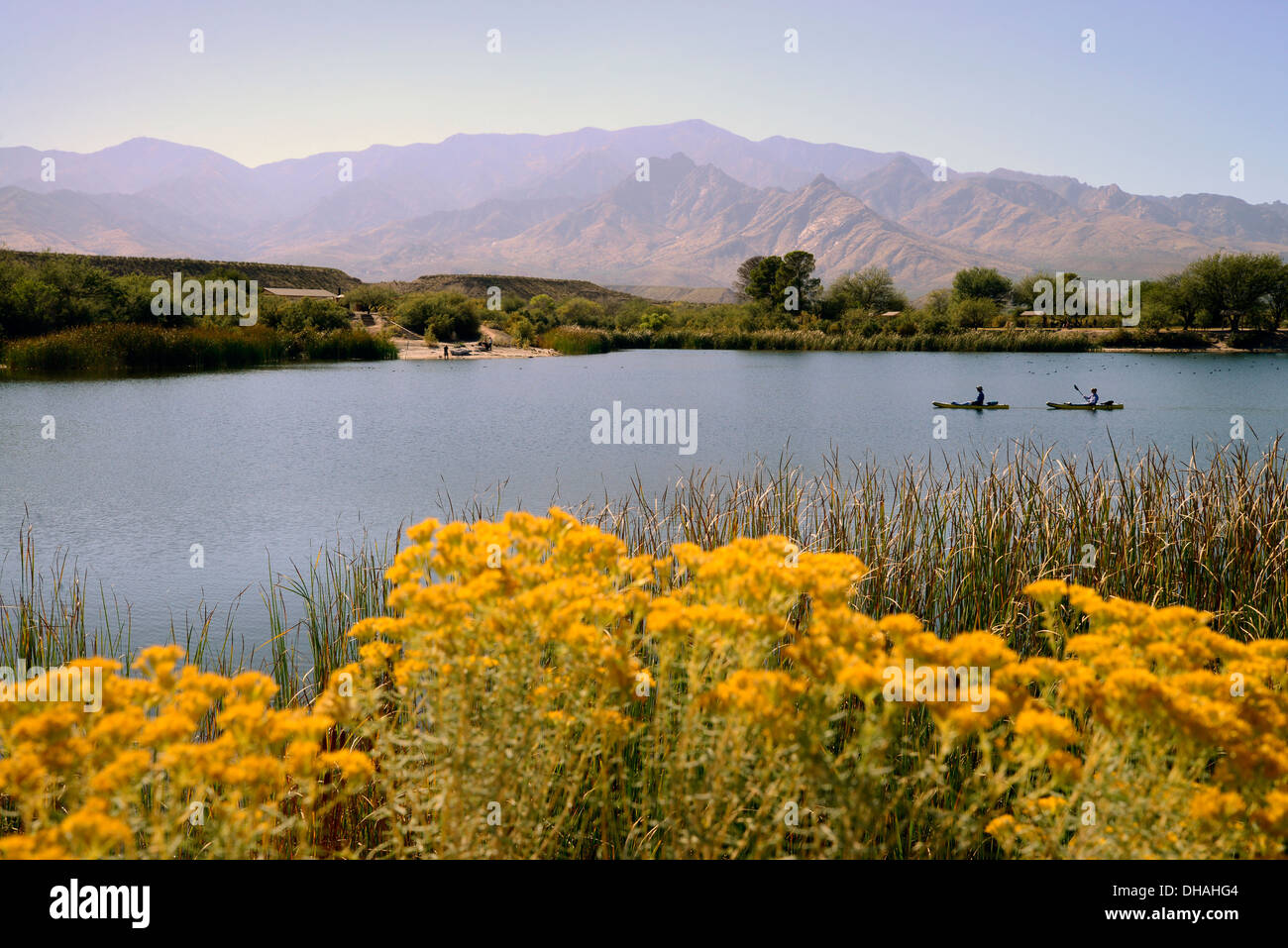 Kajakfahrer durchqueren Roper Lake im Roper Lake State Park in Graham County, Safford, Arizona, USA. Stockfoto