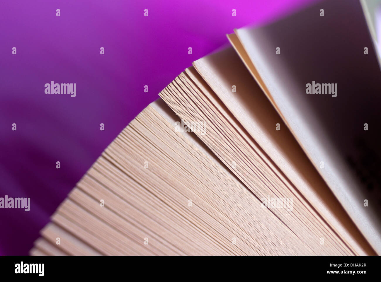 Eine Nahaufnahme Bild zeigt die aufgefächerten Seiten eines Buches und Textur. Stockfoto