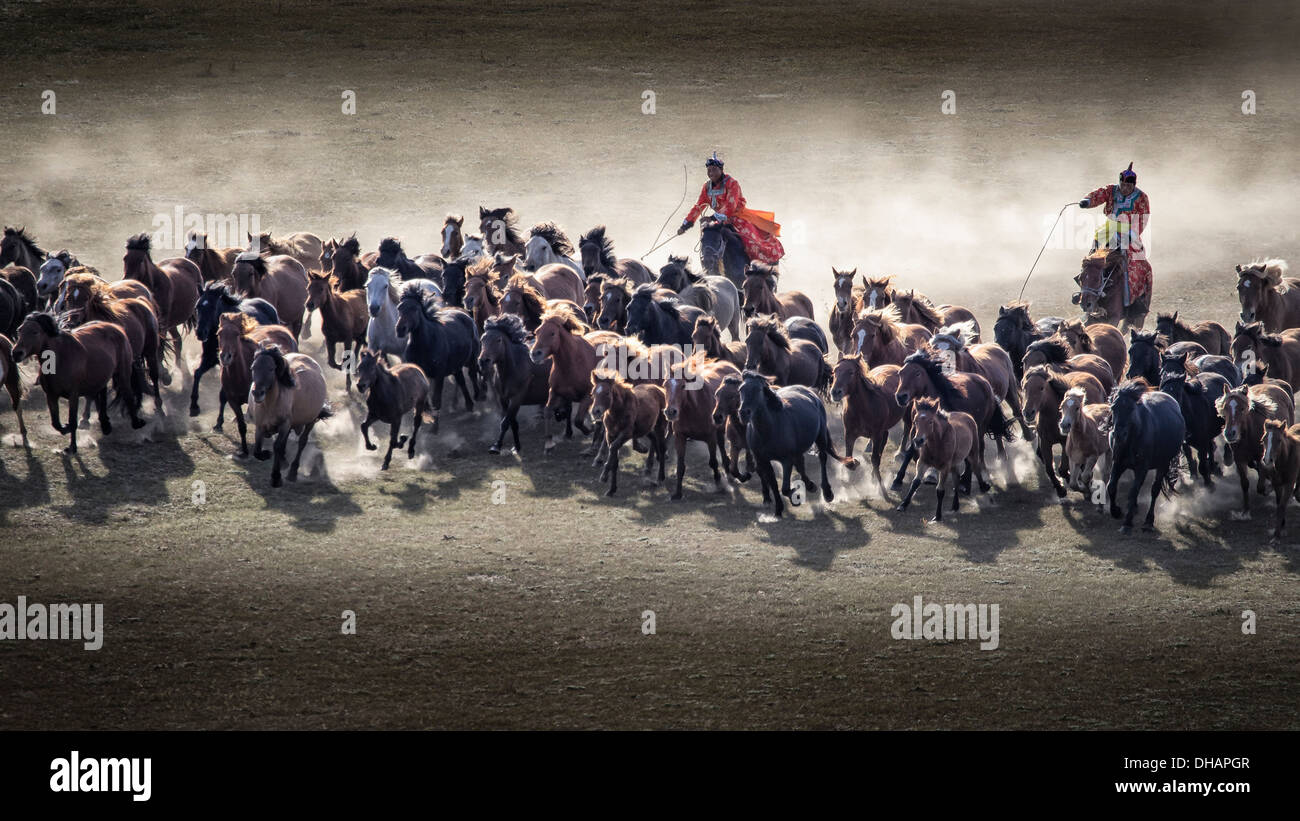 zwei mongolischen Bauern hüten eine Gruppe von Pferden, Aufladen über das Land. Stockfoto