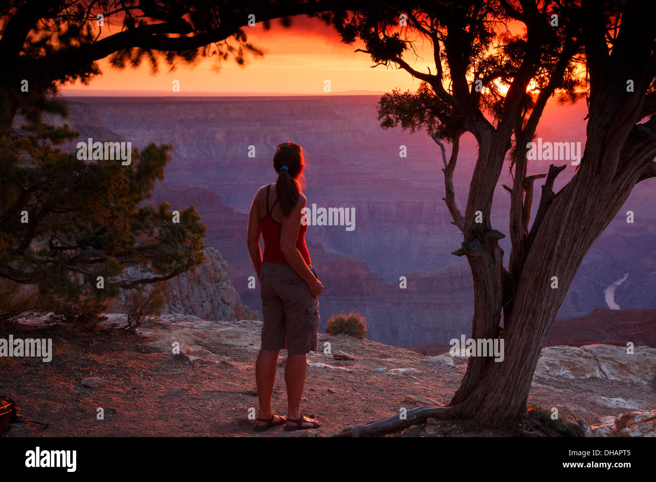 Ein Besucher findet in den Sonnenuntergang am Hopi Point, South Rim, Grand Canyon Nationalpark in Arizona. (Modell freigegeben) Stockfoto