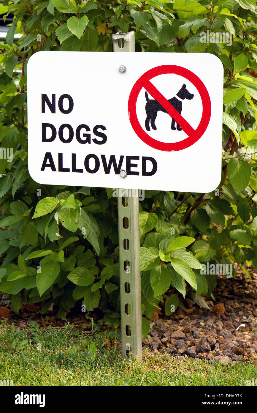 Verbot der Hunde auf dem Rasen ausgeschildert ist auf einer Metallstange mit Grafik und Ankündigung von "Keine Hunde erlaubt." Stockfoto