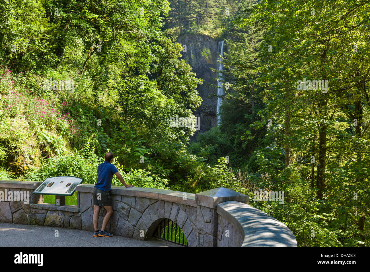 Latourell Falls, Columbia River Gorge, Oregon, USA Stockfoto
