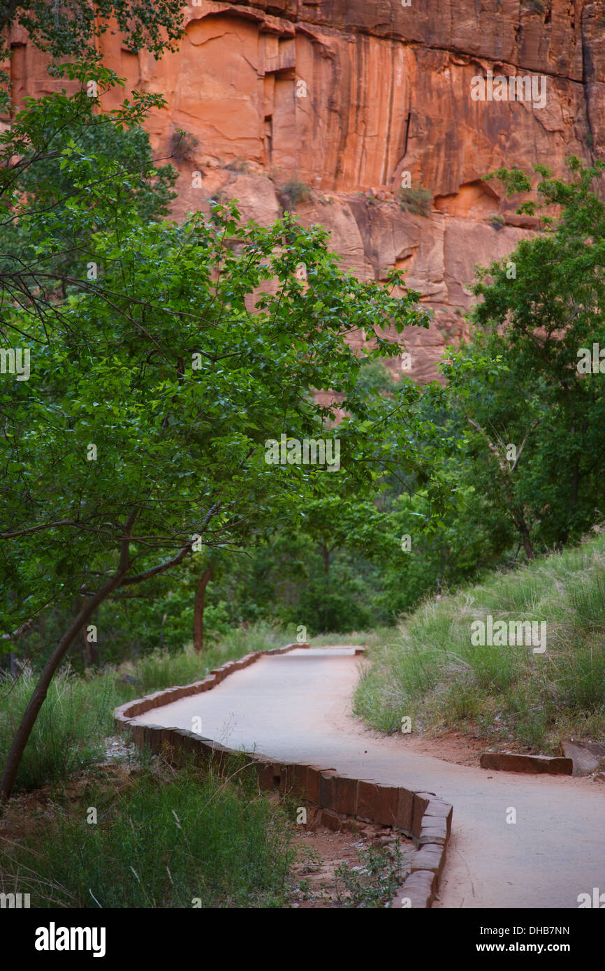 Riverside Walk in der Nähe der Tempel Sinawava, Zion Nationalpark, Utah. Stockfoto