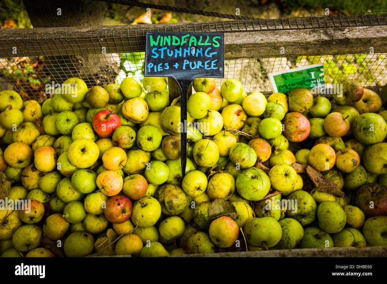 Zeichen beschreiben mögliche Nutzen für Geldsegen Äpfel im Königreich im November Stockfoto