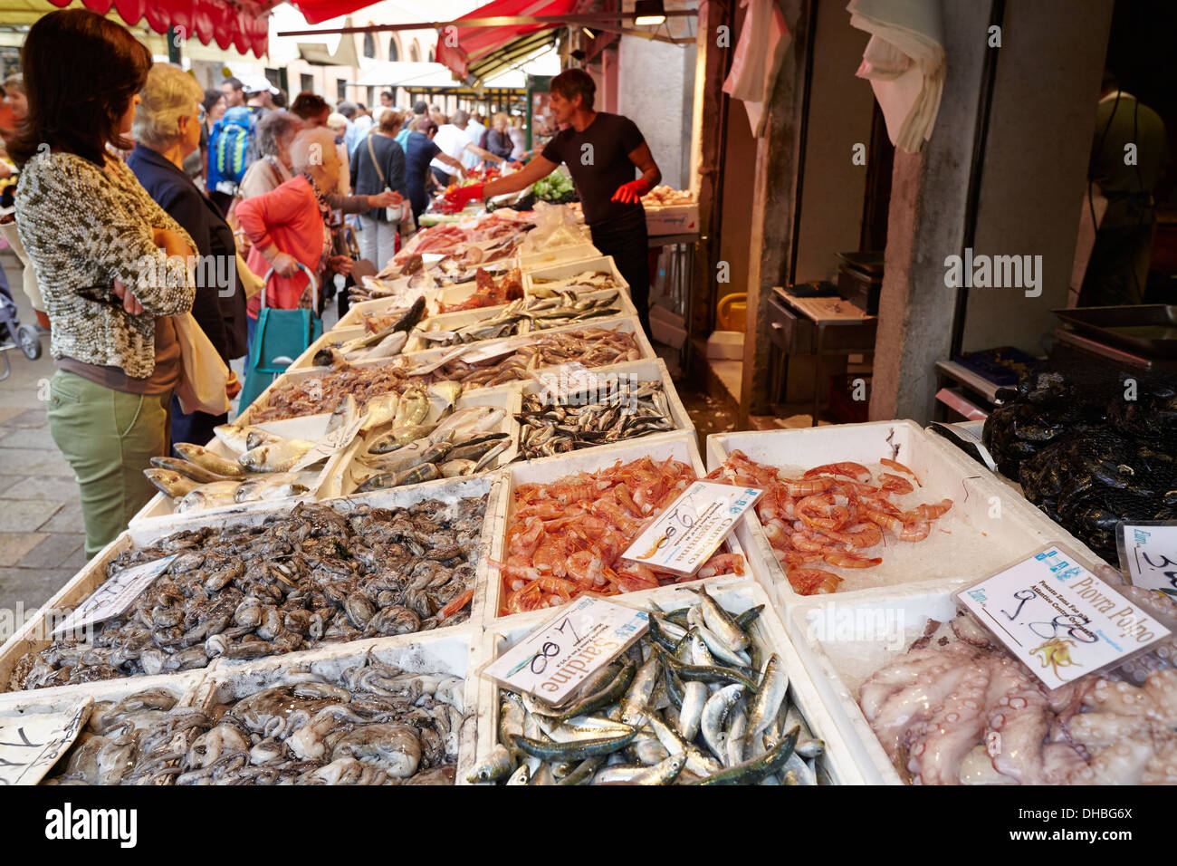 Shopping für frischen Fisch auf den Märkten von Rialto, Venedig, Italien. Stockfoto