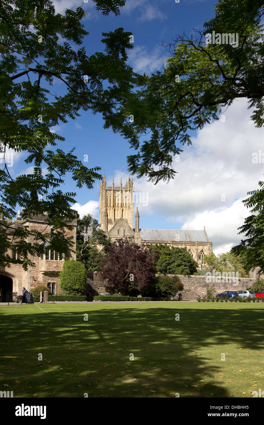 Bischöfe Schlossgarten und Kathedrale, Wells, Somerset, Großbritannien Stockfoto