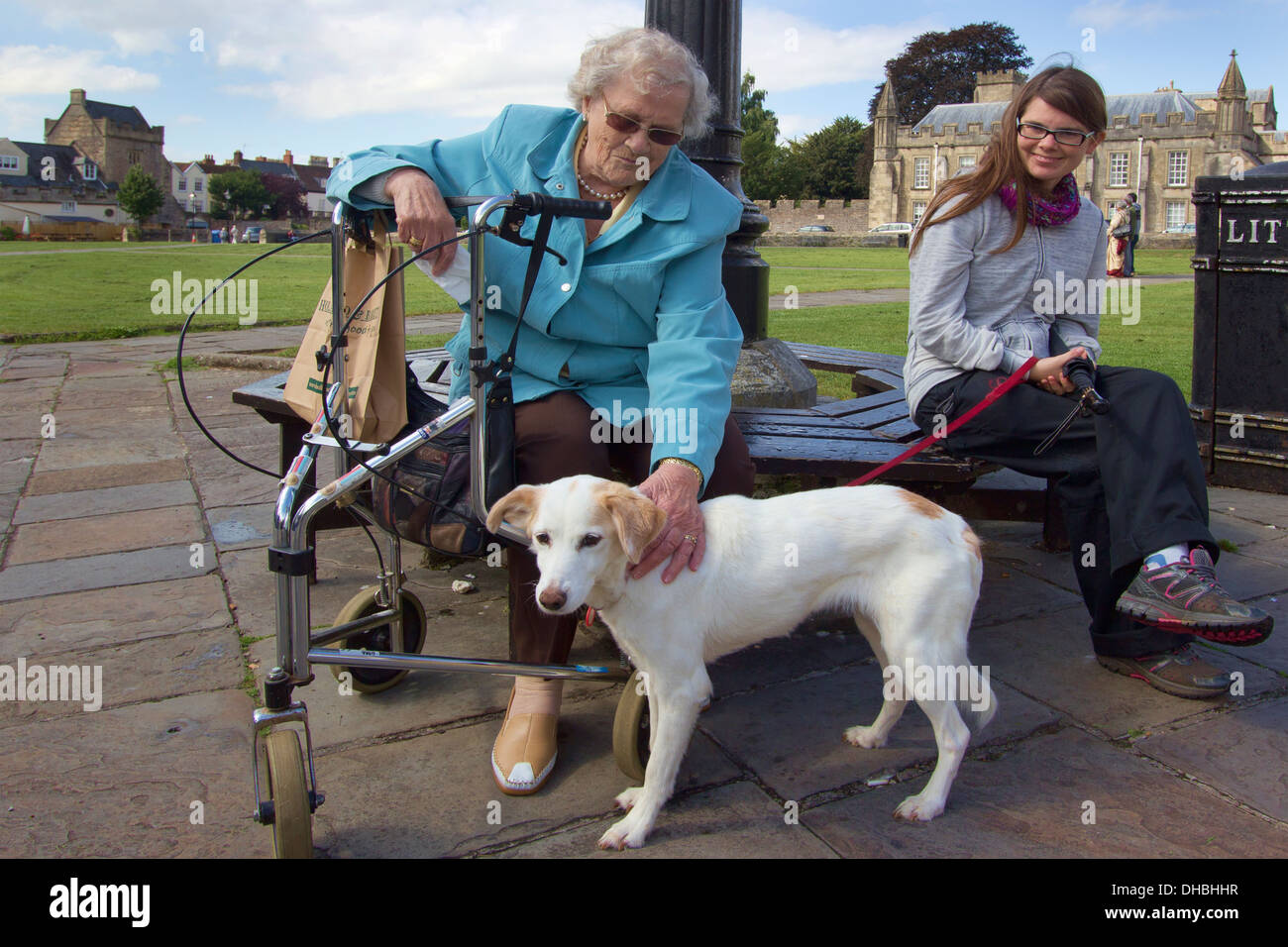 Eine ältere Dame mit Beweglichkeit streichelt einen Hund. Junge Dame. Mädchen. Jung und alt. Wells Cathedral Stockfoto