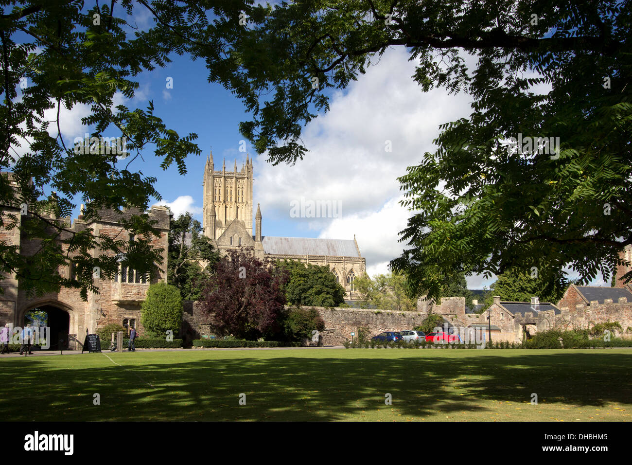Bischöfe Schlossgarten und Kathedrale, Wells, Somerset, Großbritannien Stockfoto