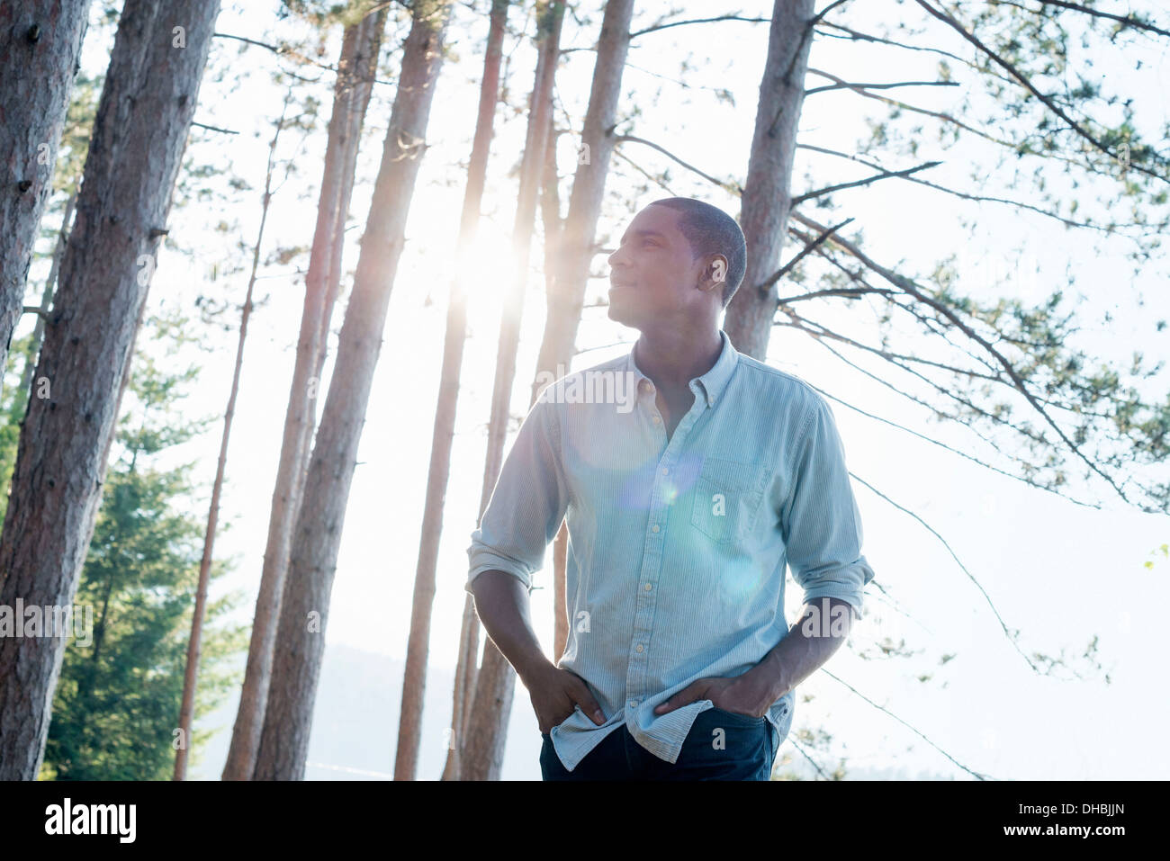 Direkt am See.  Ein Mann steht im Schatten der Pinien im Sommer. Stockfoto