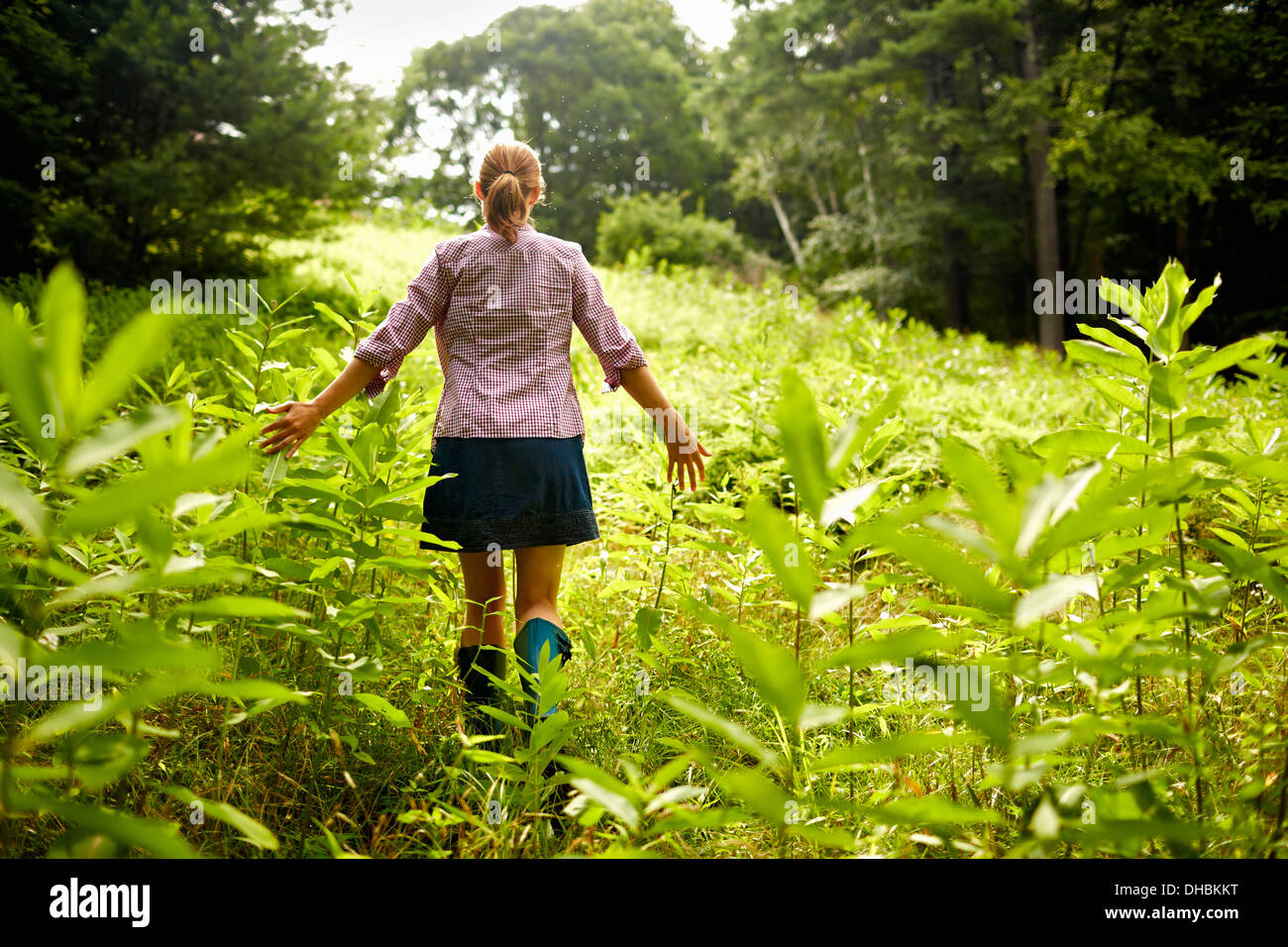 Eine Frau, ein Spaziergang durch das Unterholz in Wäldern, mit ihren Armen Bürsten die Spitzen der Wildpflanzen. Stockfoto