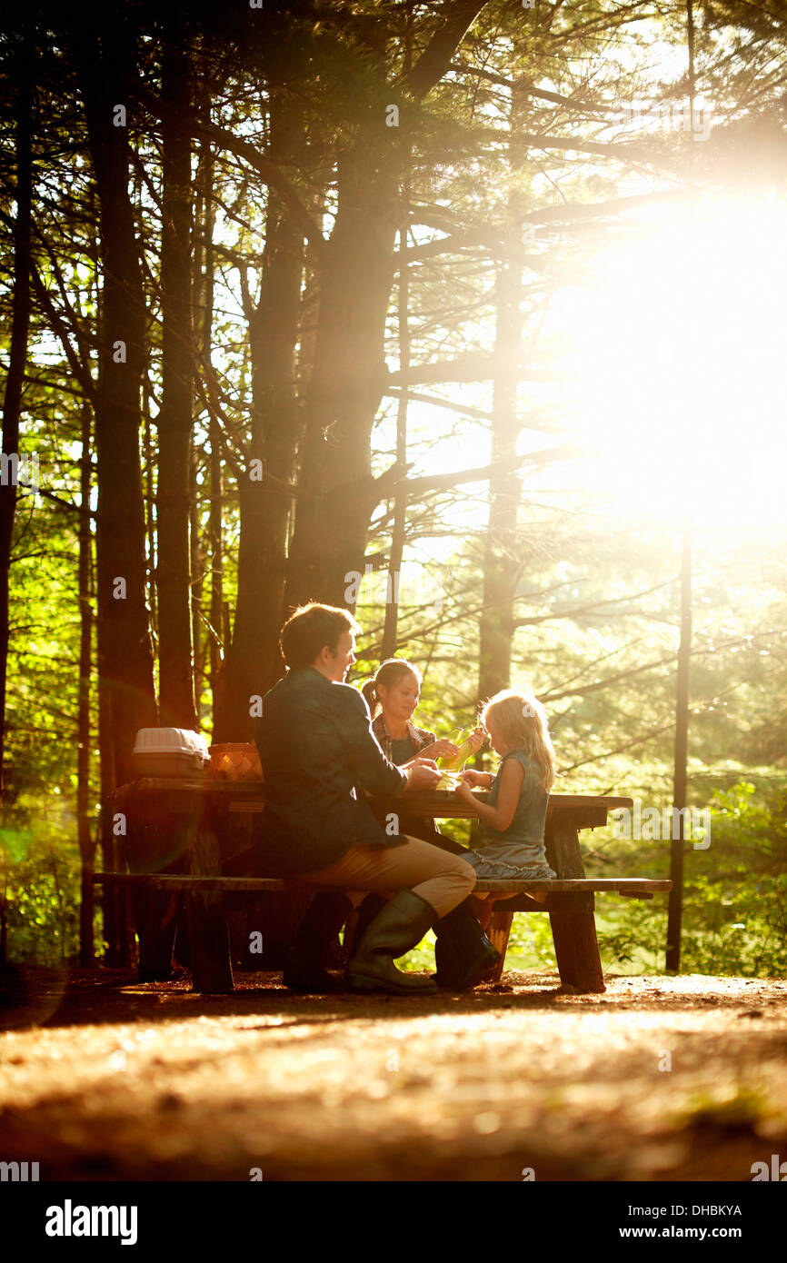 Drei Menschen, eine Familie sitzt an einem Picknicktisch unter Bäumen, in den späten Nachmittag. Stockfoto