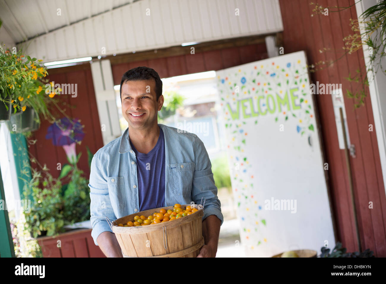 Ein Bauernhof, Anbau und Verkauf von Bio-Gemüse und Obst. Ein Mann hält eine Schale mit Korb mit frisch gepflückten Tomaten. Stockfoto