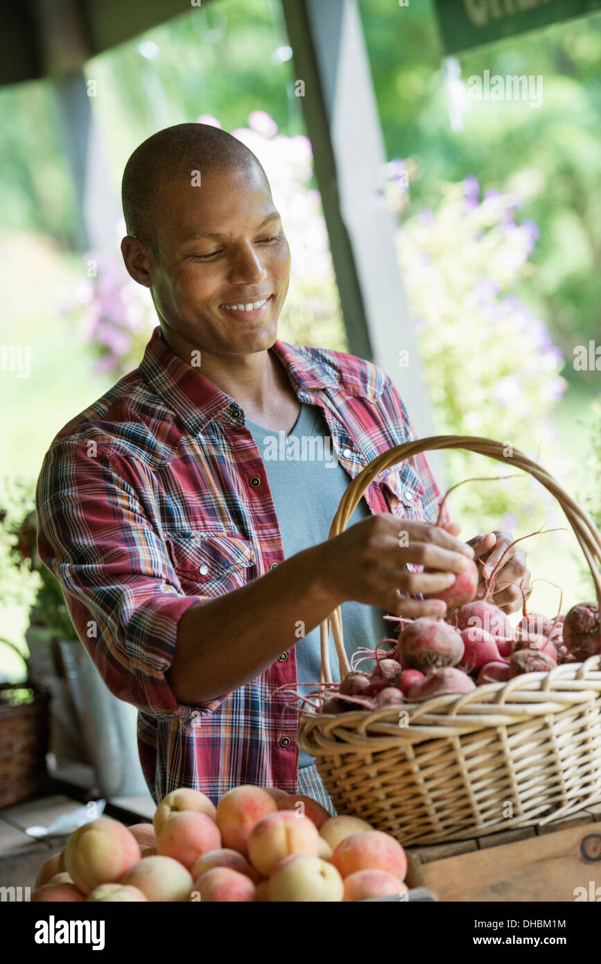 Ein Bauernhof Stand mit frischem Bio-Gemüse und Obst.  Ein Mann, rote Beete in einem Korb sortieren. Stockfoto