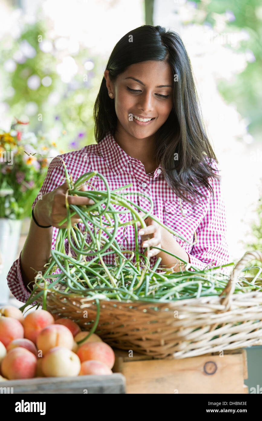 Ein Bauernhof Stand mit frischem Bio-Gemüse und Obst.  Eine Frau mit Trauben von Karotten. Stockfoto