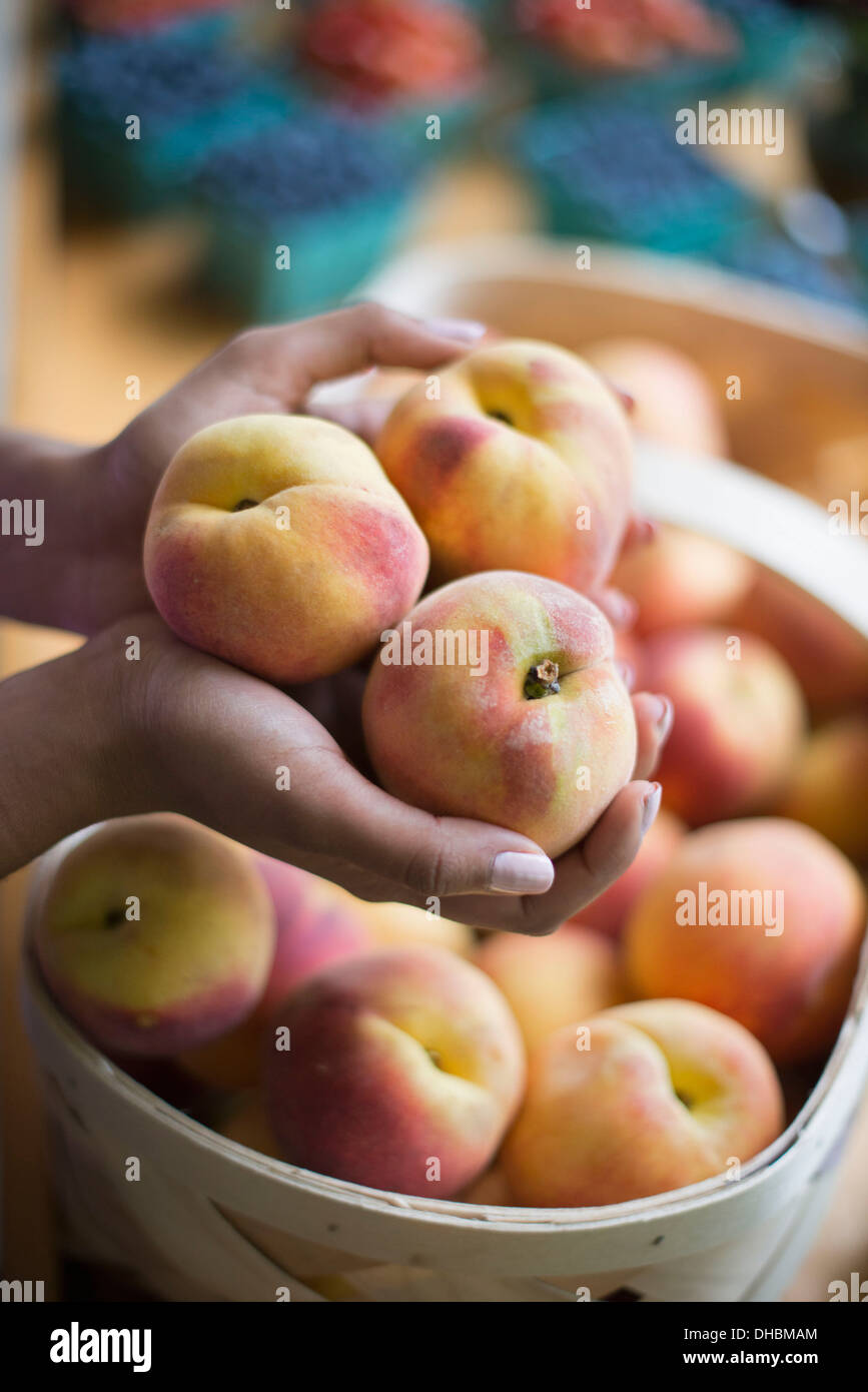 Bio-Obst auf einem Bauernhof Stand angezeigt. Eine Person, die Hände voll von Pfirsichen. Stockfoto