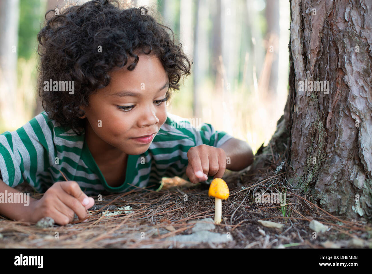 Bäume am Ufer eines Sees. Ein Kind, einen kleine gelbe Pilze Pilz Inspektion hinlegen. Stockfoto