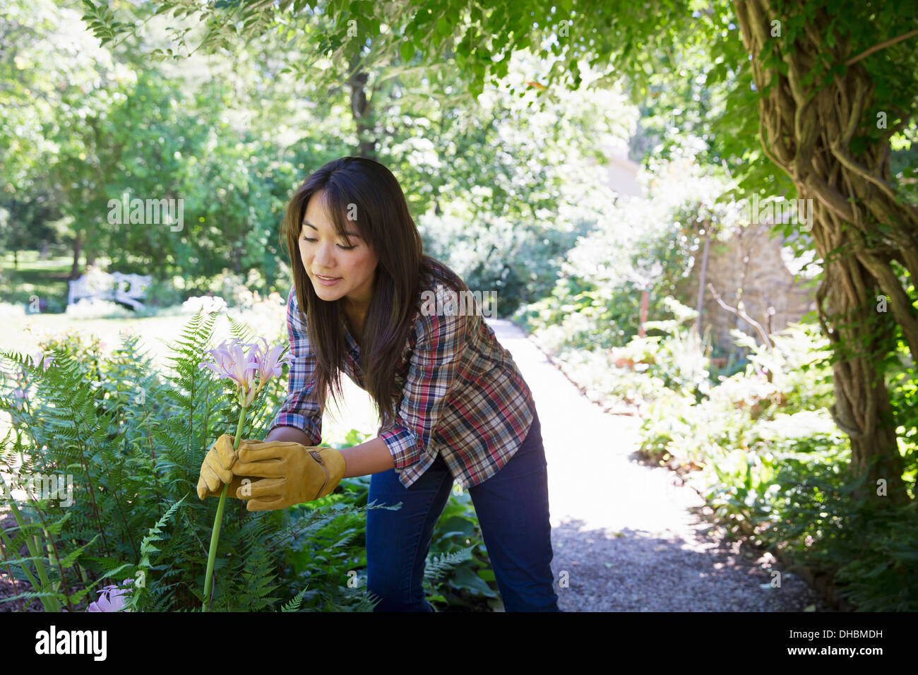 Ein Bauernhof, Anbau und Verkauf von Bio-Gemüse und Obst. Eine junge Frau arbeitet. Stockfoto