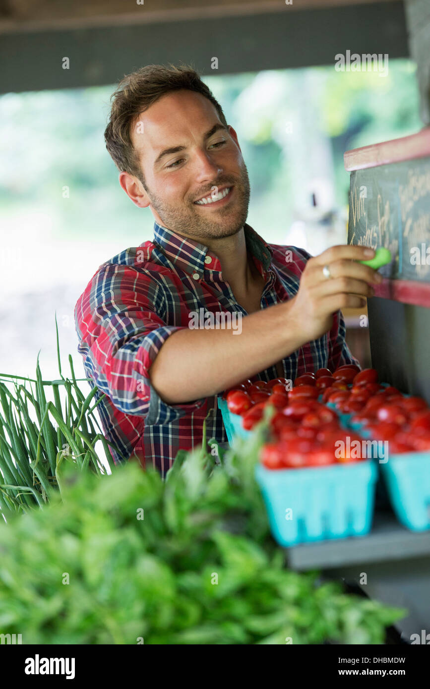 Ein Bio-Obst-Stand. Ein Mann, Kreiden, die Preise an die Tafel. Stockfoto