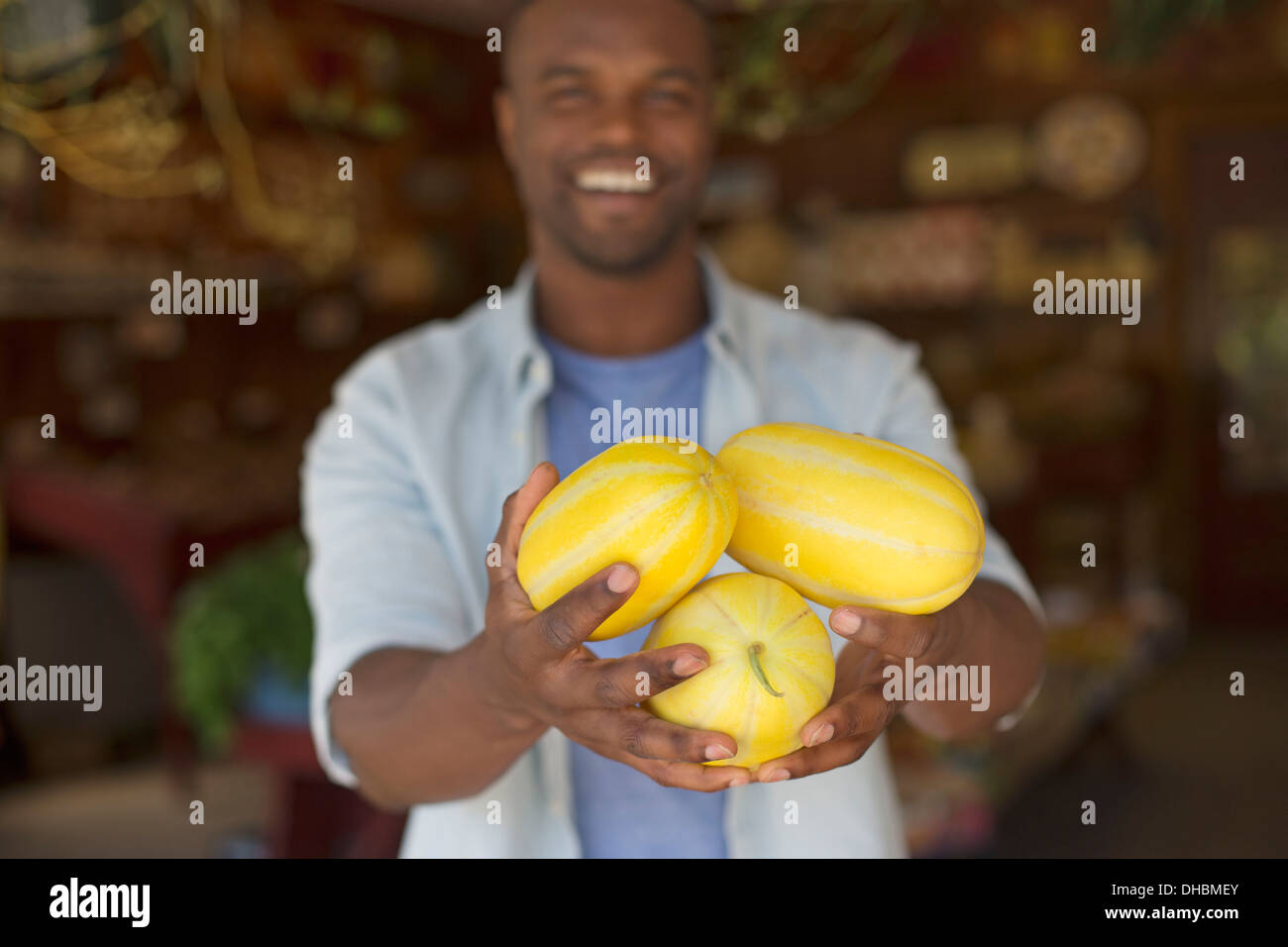 Ein Bauernhof, Anbau und Verkauf von Bio-Gemüse und Obst. Ein Mann, gestreifte Kürbisse ernten. Stockfoto