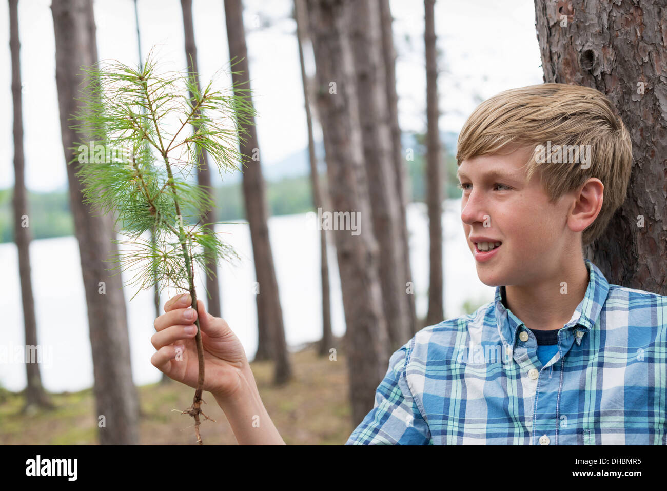 Ein Junge steht unter Bäumen am Ufer eines Sees. Stockfoto