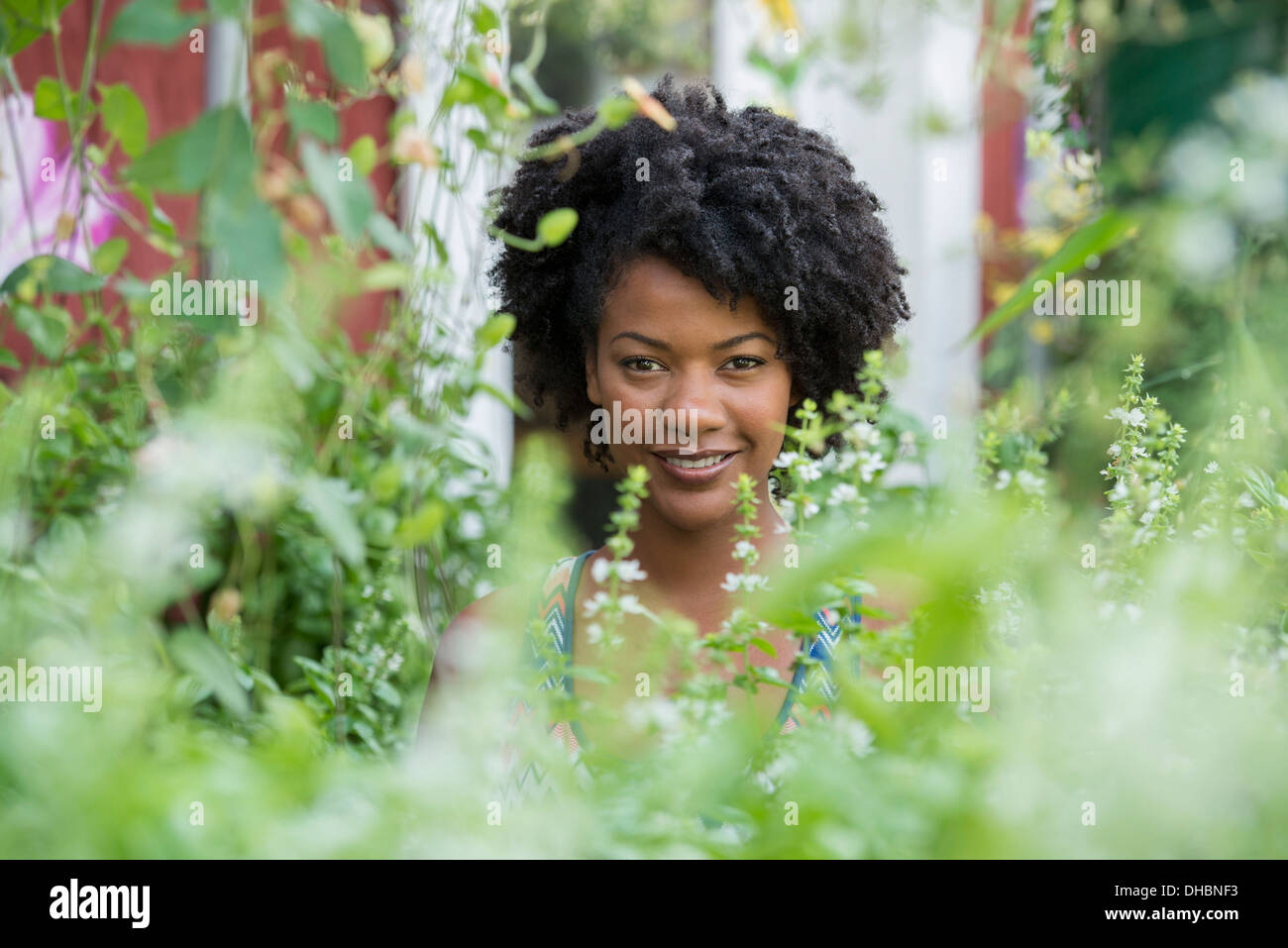 Eine Frau in einer Gärtnerei, umgeben von Pflanzen, Blumen und Laub stehen. Stockfoto