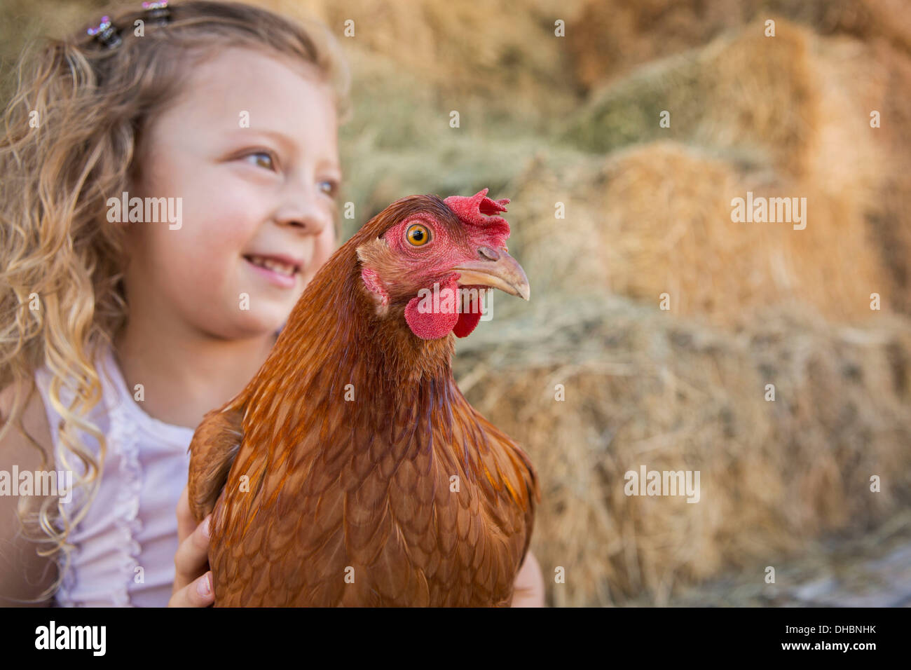 Ein junges Mädchen hält ein Huhn im Hühnerstall. Stockfoto