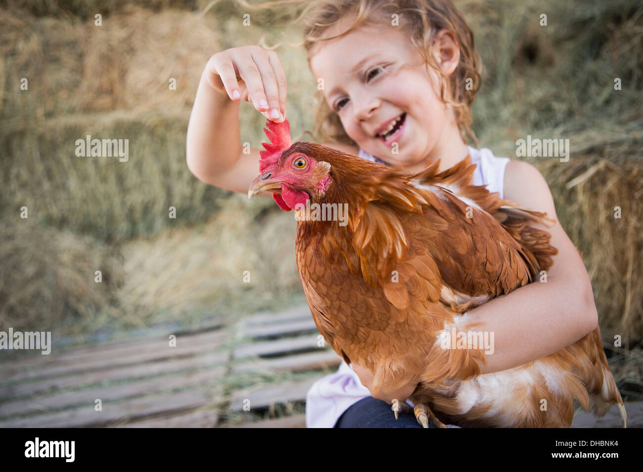 Ein junges Mädchen hält ein Huhn im Hühnerstall. Stockfoto