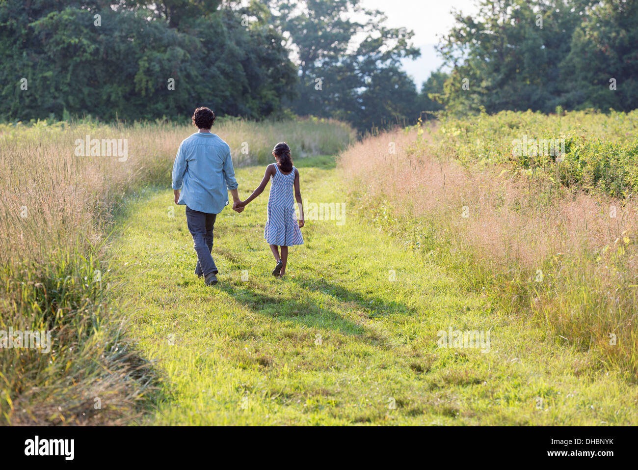 Ein Mann und ein junges Mädchen zu Fuß auf einem gemähten Weg das lange Gras, Hand in Hand. Stockfoto