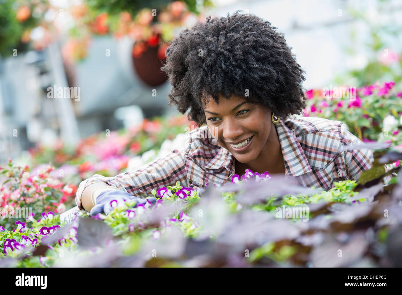 Eine Frau in einer Gärtnerei, umgeben von blühenden Pflanzen und Laub. Stockfoto