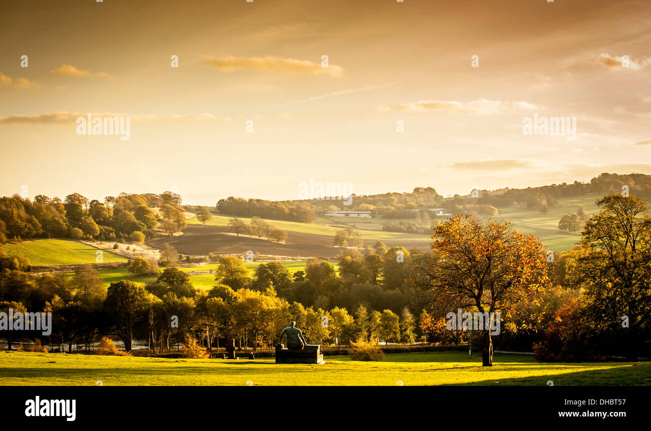 Alte Flo-Skulptur von Henry Moore im Yorkshire Sculpture Park. Stockfoto