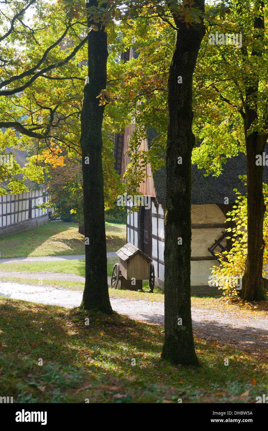 Eine Gruppe von Bäumen vor einem alten Ferienhaus Haus aus dem 18. Jahrhundert, Deutschland, Europa Stockfoto