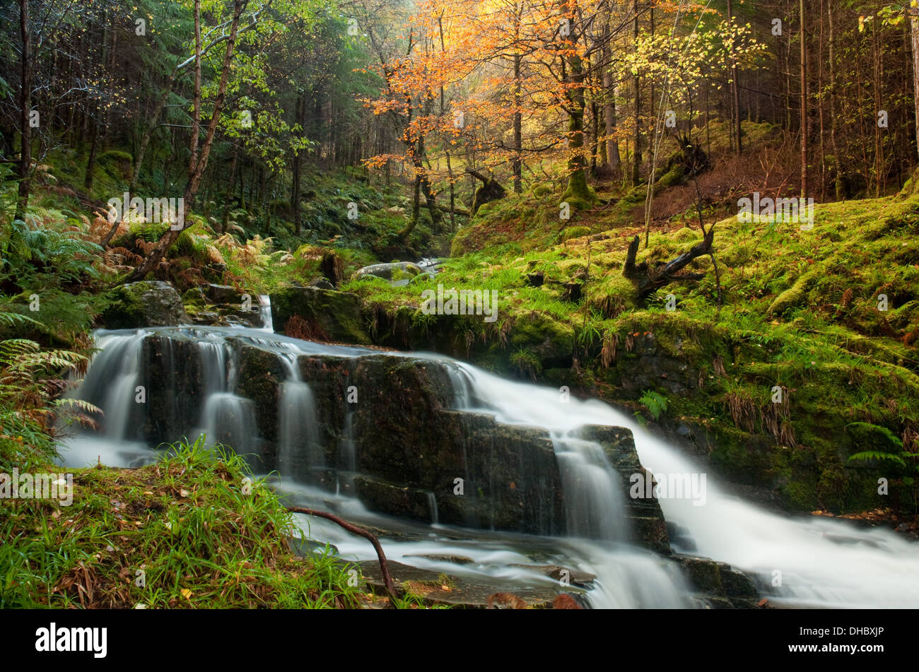 Wasserfall durch Lael Wald Stockfoto