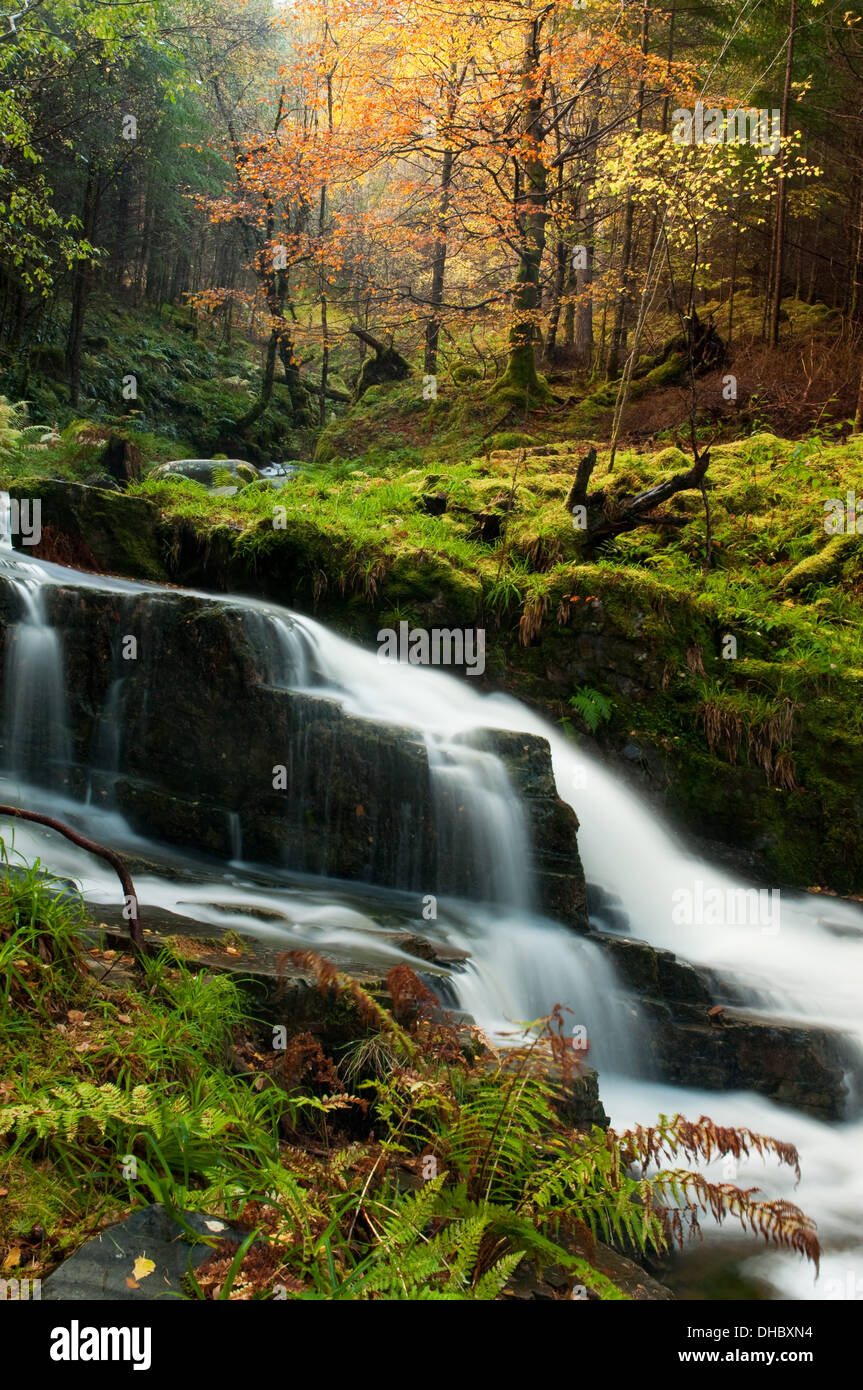 Wasserfall durch Lael Wald Stockfoto