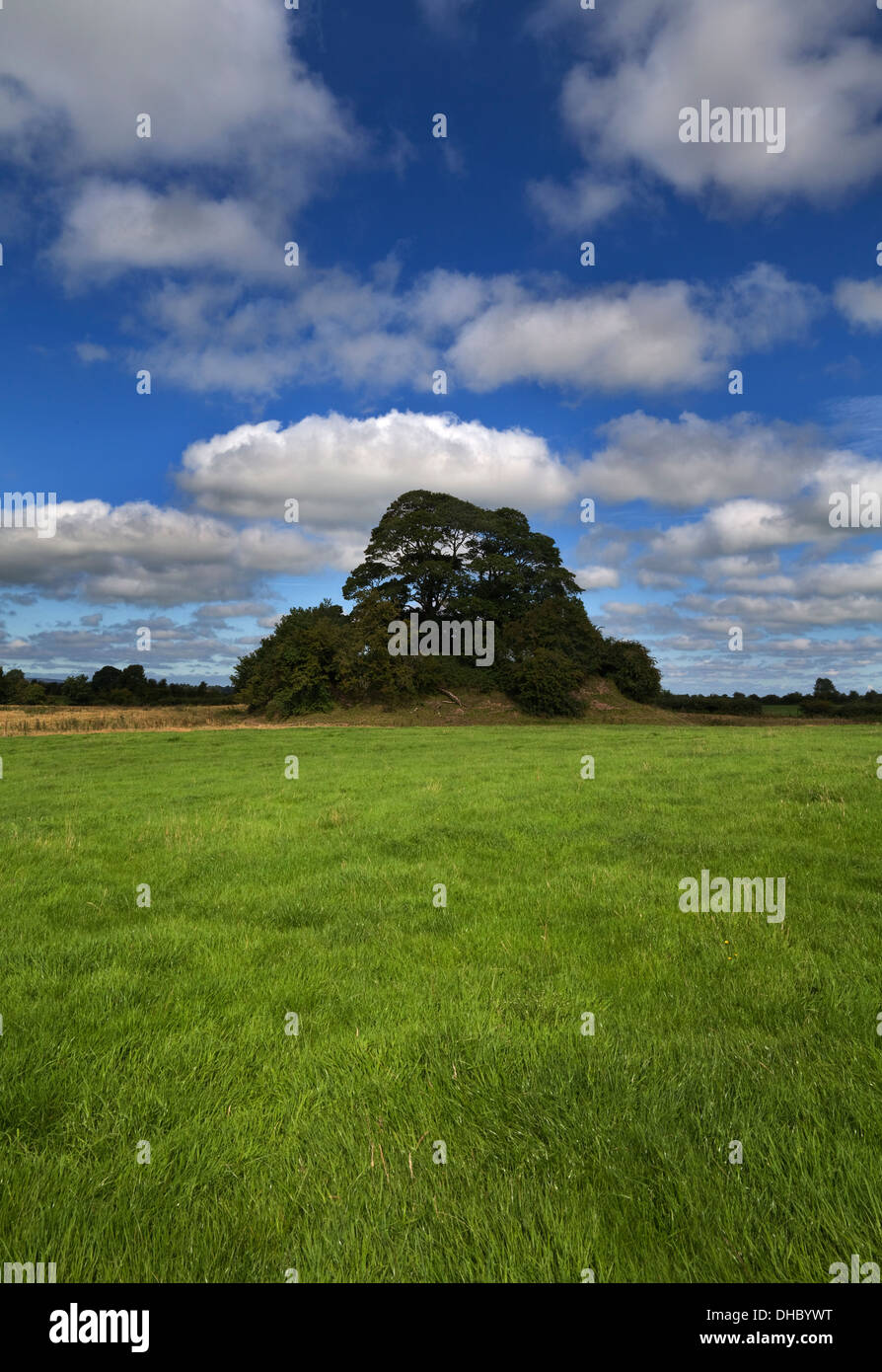 Motte und Bailey von Monacoghlan, konstruiert späten 12. oder frühen 13. Jahrhundert, in der Nähe von Aghboe Abbey, County Laois, Irland Stockfoto