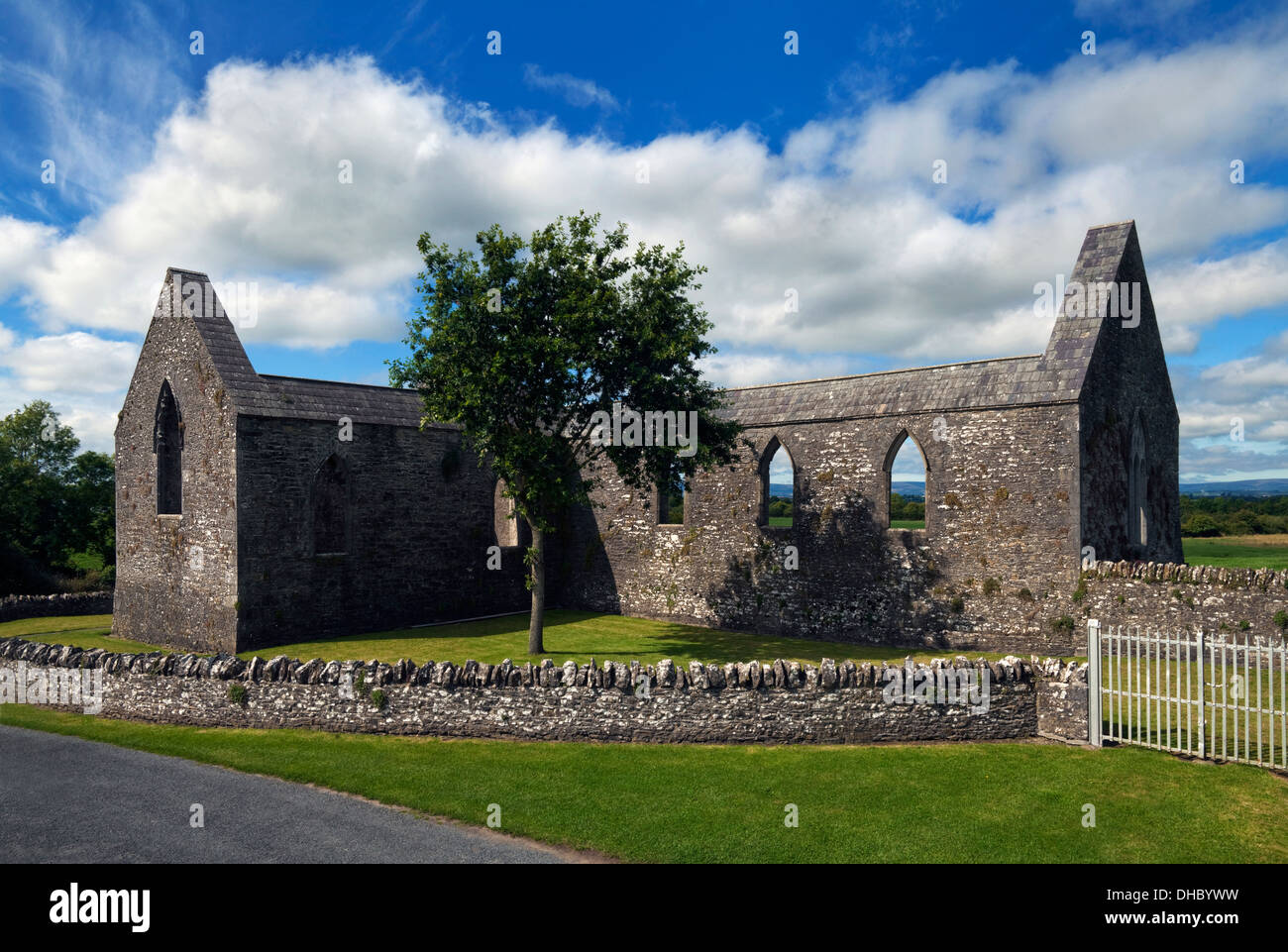 Die Ruinen von Aghaboe Abbey gegründet von St. Canice im 6. Jahrhundert, County Laois, Irland Stockfoto