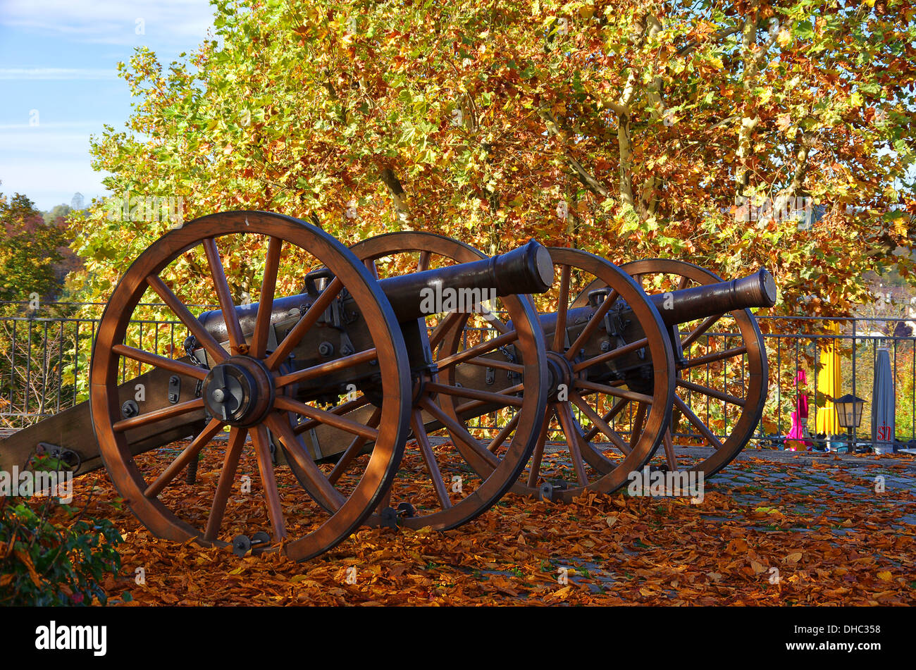 Zwei historische Waffen Stockfoto