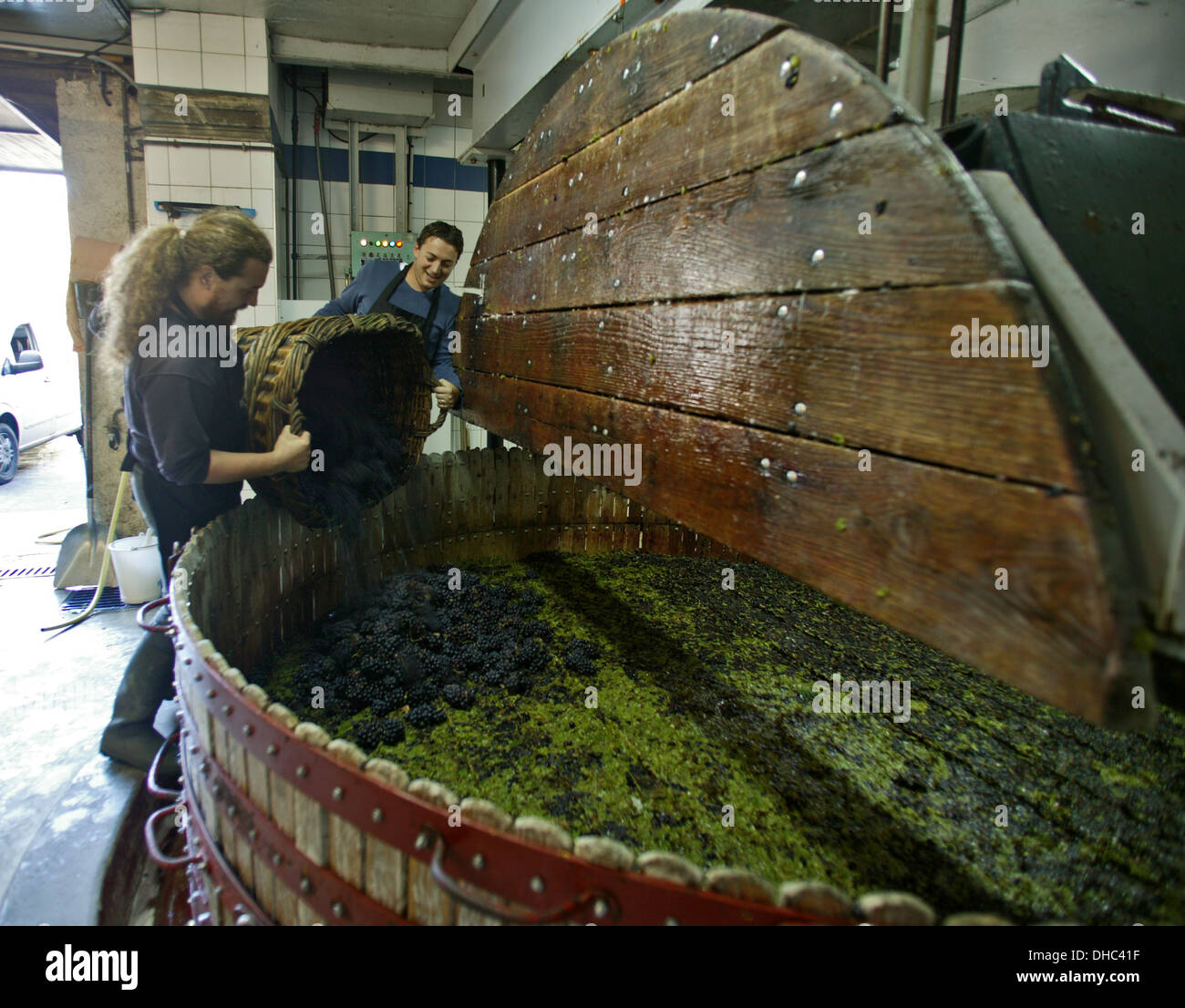 Champagner-Produktion in der Vallée De La Marne auf dem Weingut von René Geoffroy in Cumières Stockfoto