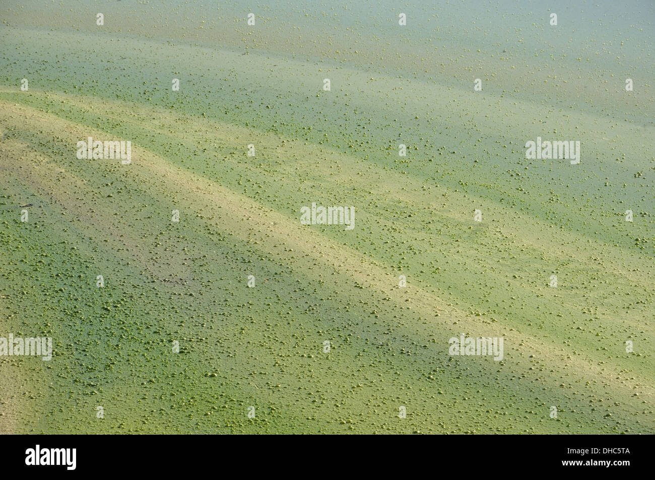 Zusammenfassung Hintergrund erstellt von Abfallprodukte auf der Oberfläche des Wassers Stockfoto