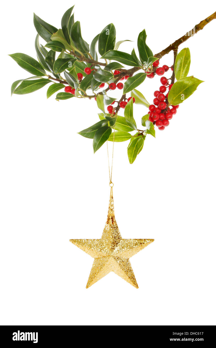 Gold star Weihnachts-Dekoration hängen von einem Holly Zweig mit reifen roten Beeren Stockfoto