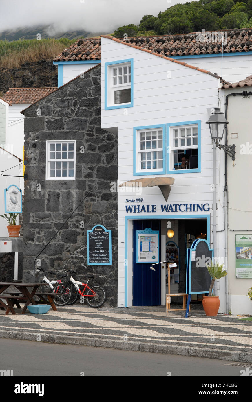 Whale-watching beworbenen in Lajes Pico, Insel Pico, Azoren, Portugal Stockfoto