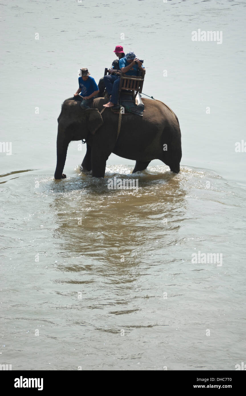 Vertikale nahe Porträt von einem lokalen Lao Mahout und Touristen auf Elefanten zu Fuß durch einen Fluss in Laos. Stockfoto