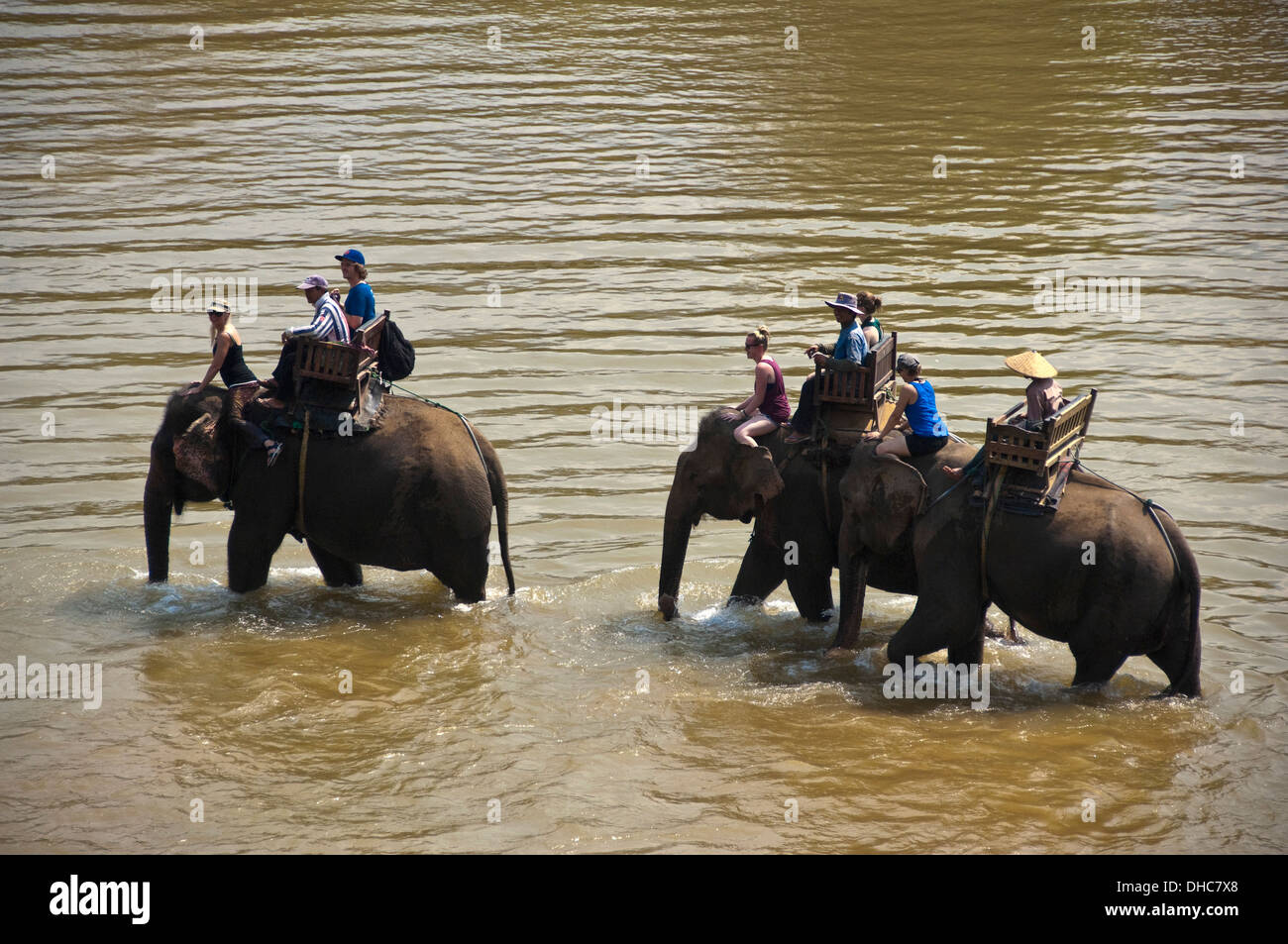 Horizontal nahe Porträt einer lokalen Lao Mahouts mit Touristen auf Elefanten zu Fuß entlang eines Flusses in Laos. Stockfoto
