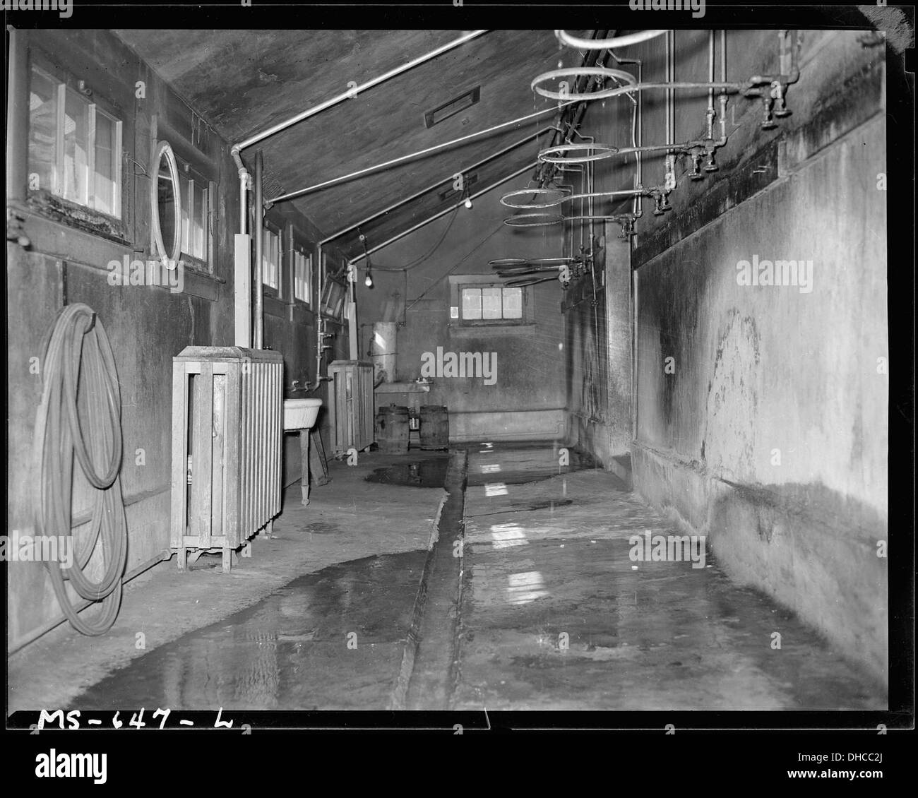 Das Duschbad im Waschhaus der Castle Gate Mine der Utah Fuel Company in Carbon County, Utah, ist auf diesem historischen Foto festgehalten, das die Einrichtungen zeigt, die den Arbeitern zur Verfügung stehen. Stockfoto