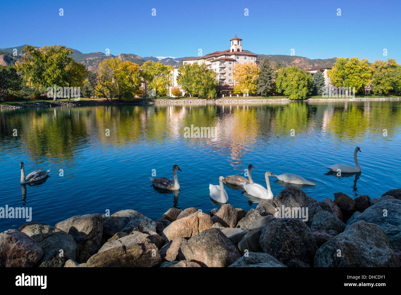 Schwäne auf Cheyenne See, The Broadmoor, historische Luxus-Hotel und Resort, Colorado Springs, Colorado, USA Stockfoto