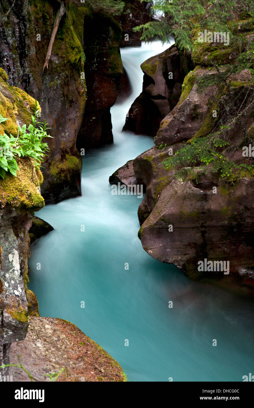 Avalanche Creek schießt durch die engen Mauern der Lawine Schlucht im Glacier National Park, Montana. Stockfoto