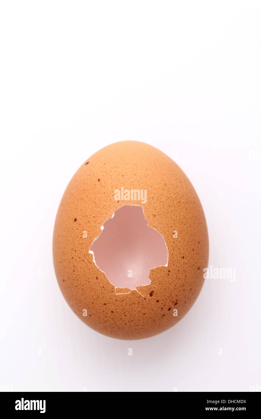 Ei in der schale -Fotos und -Bildmaterial in hoher Auflösung – Alamy