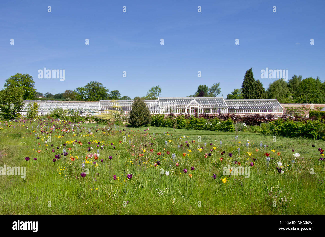 Helmsley ummauerten Garten Stockfoto