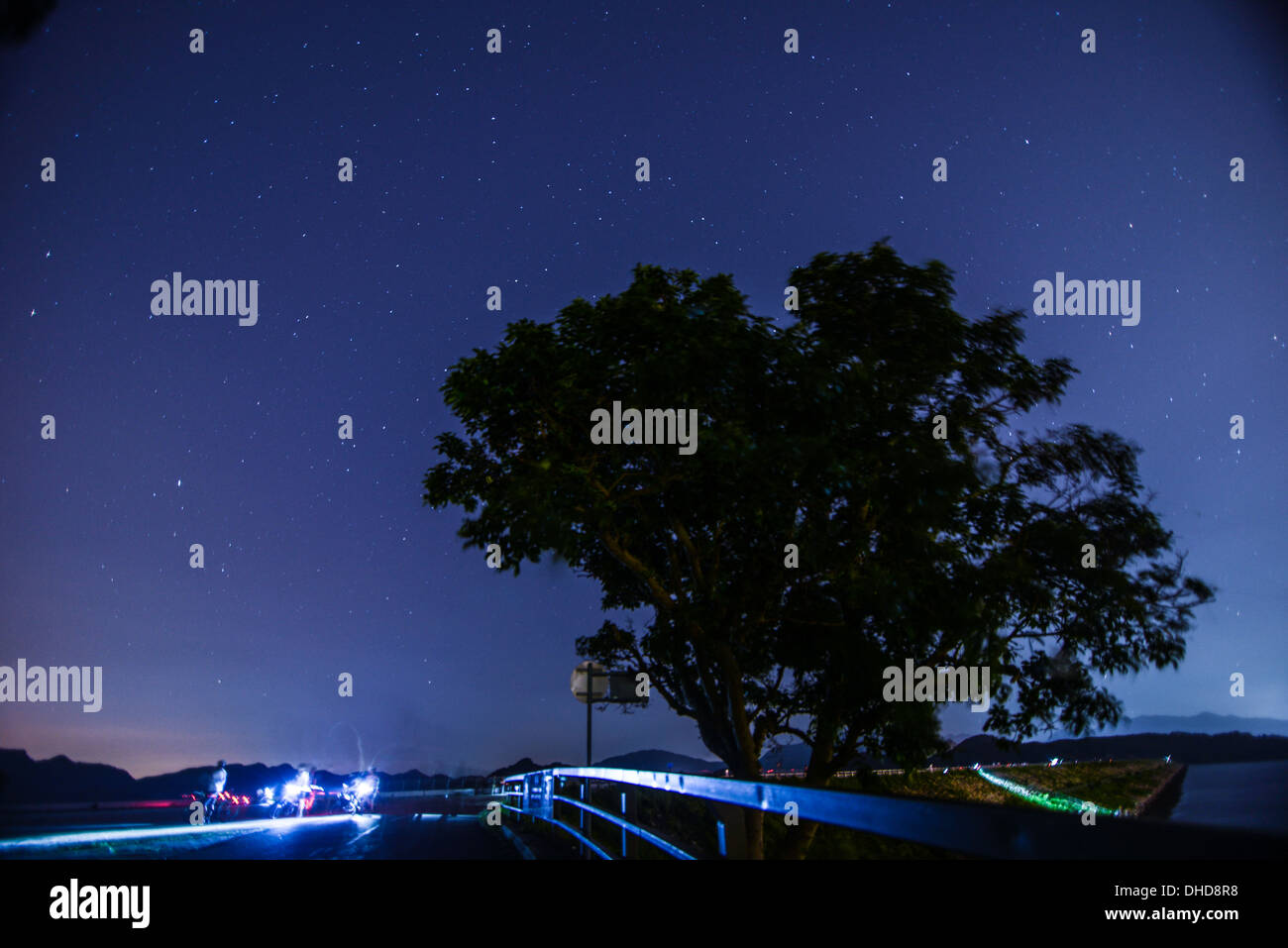 Ein einzelner Baum in einem Feld mit schönen Sternen Nacht Stockfoto