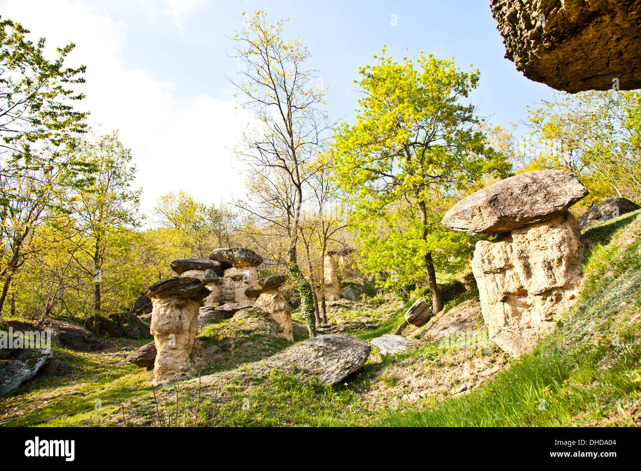 Fantasievolle Waldlandschaft Stockfoto