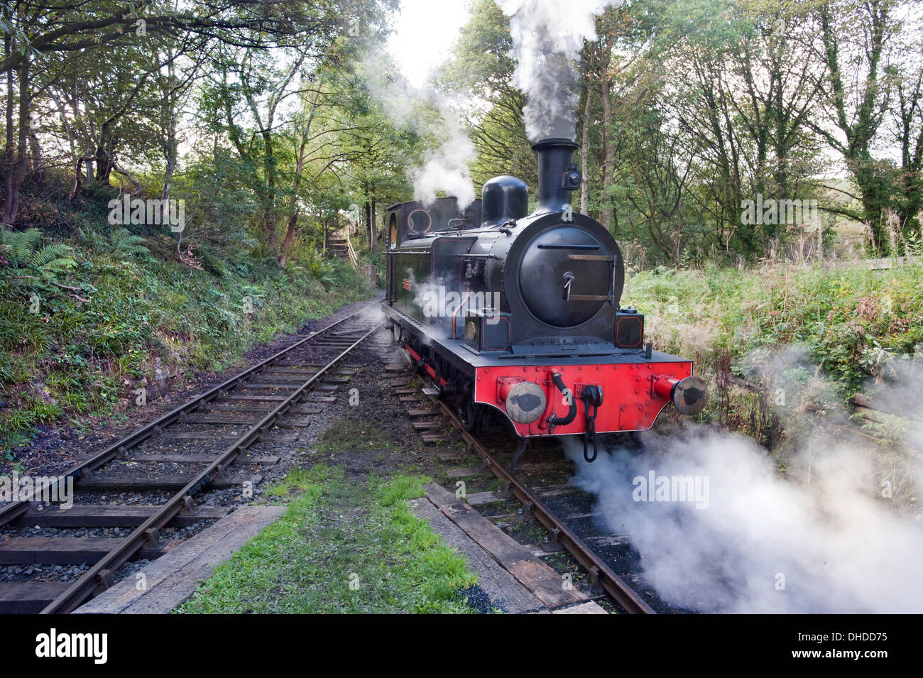 Eine ehemalige Coal Board Tenderlok Dampflok auf die Tanfield Eisenbahn, County Durham, die weltweit älteste Eisenbahn - Pferdekutsche vor Dampf. Stockfoto